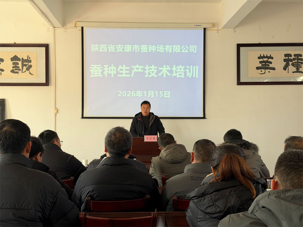 夯实技术根基 赋能蚕种产业高质量发展——安康市蚕种场有限公司开···