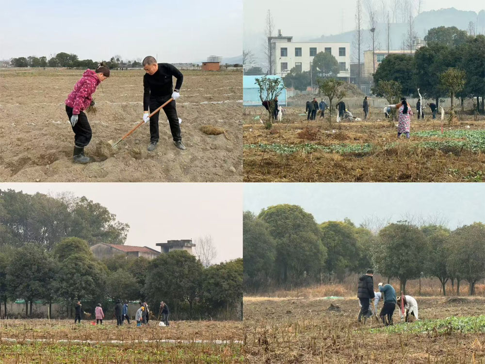 深耕沃土育新苗 同心聚力强根基——安康市蚕种场有限公司开展全员···