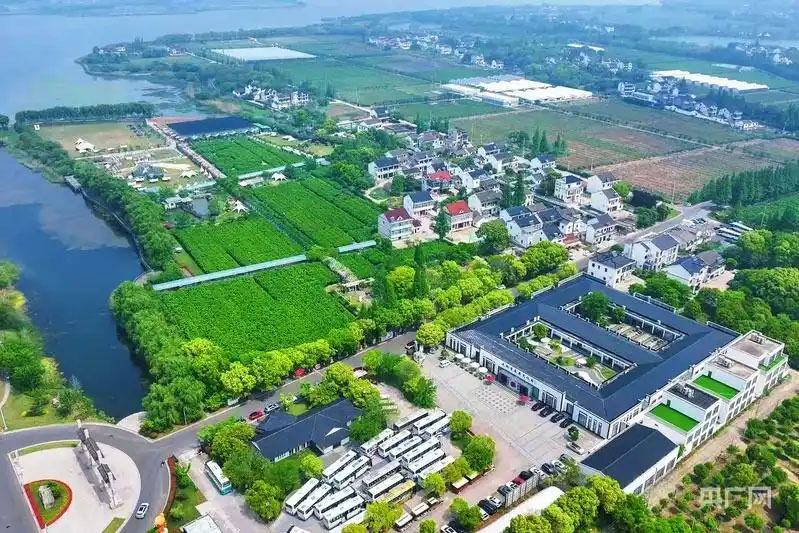一根丝“织”就江南共富路