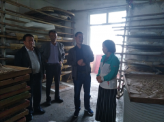 中国蚕研所徐安英研究员来我场调研